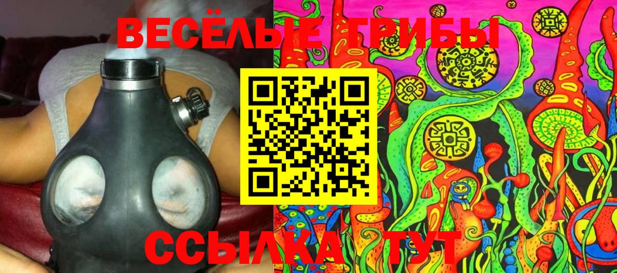 Галлюциногенные грибы Cubensis Белебей